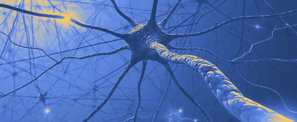 neuron representing a network